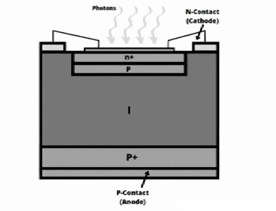 Component1 Component1